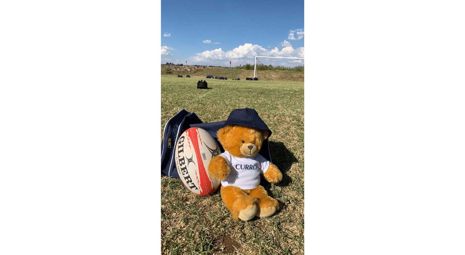 Stuffed Teddy Bear on a rugby field with a rugby ball next to him