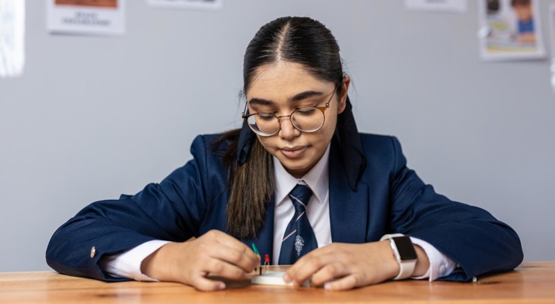 Curro St Dominics Newcastle, Primary school in Newcastle, KwaZulu-Natal, Curro education, Curro School, Private school near me, IEB School