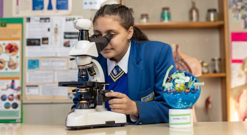 Waterstone College has a high school in Kibler Park, Johannesburg, curro school, best private school, curro education, Curro fees, private schools near me, best private school, IEB school.