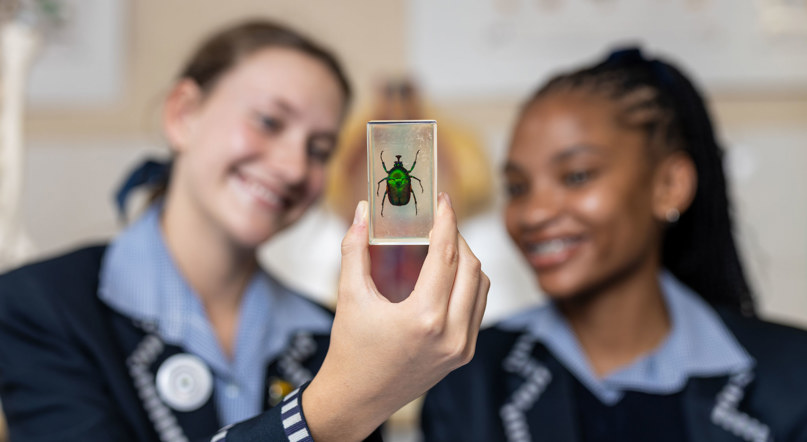 Curro Bankenveld, high school in Reyno Ridge, high school in Bankenveld, private schools near me, best school in Bankenveld, Curro education, Curro school, Curro near me