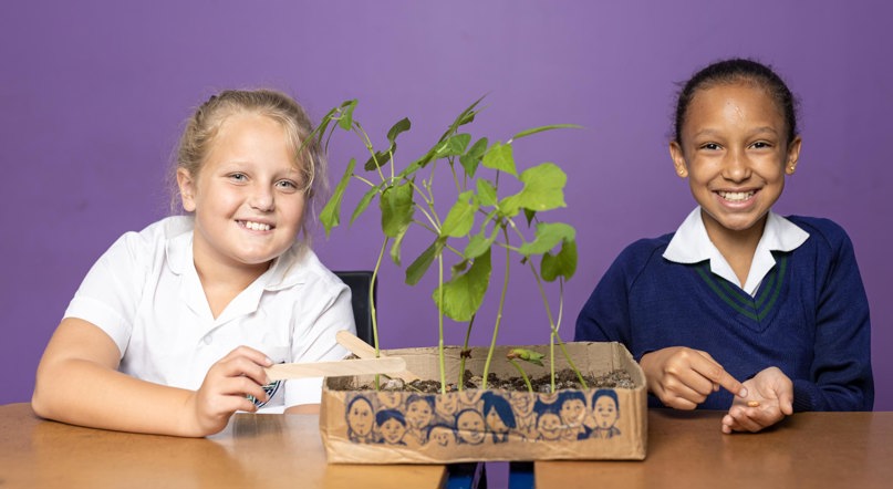The King’s School has a Primary school in Linbro Park, Sandton. Curro education, Curro School, Private school near me, IEB School